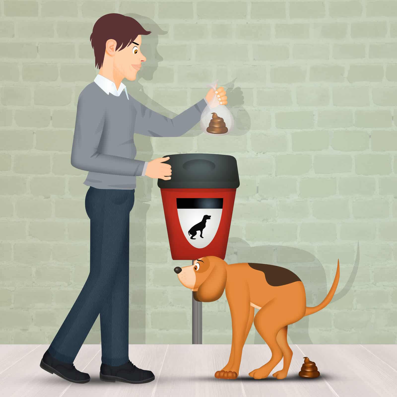 Everything you need to know about dog poop bags