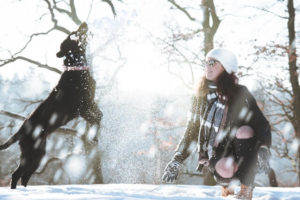 dog playing with his owner in the winter