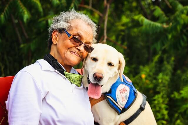 an old woman with a therapy dog