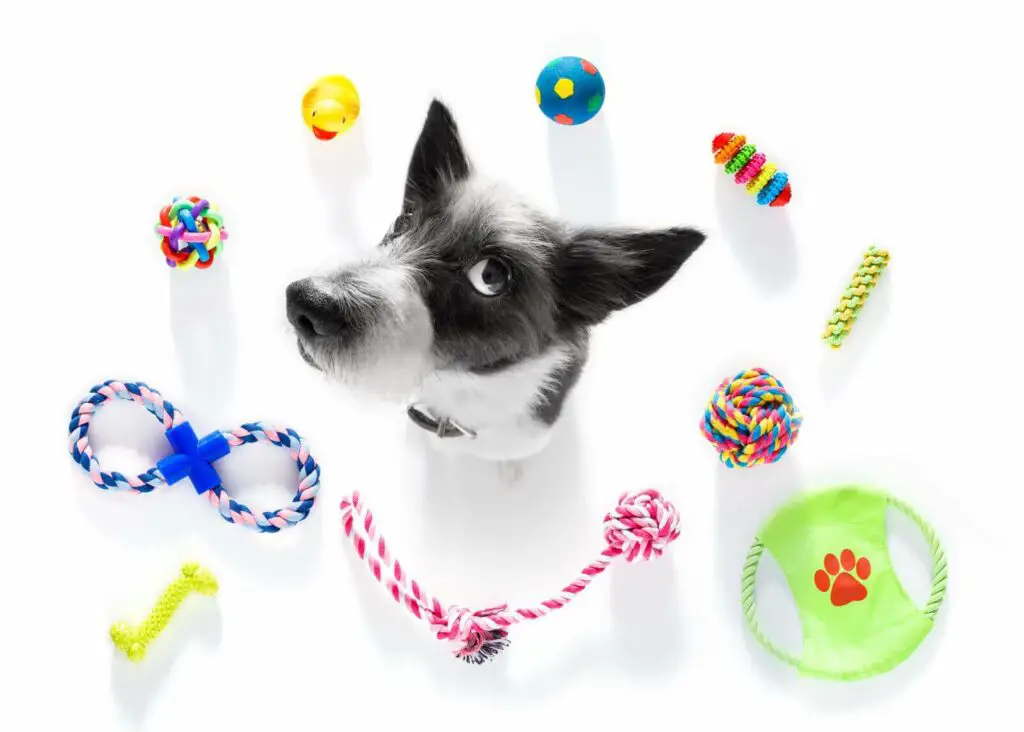 Toy for Dogs