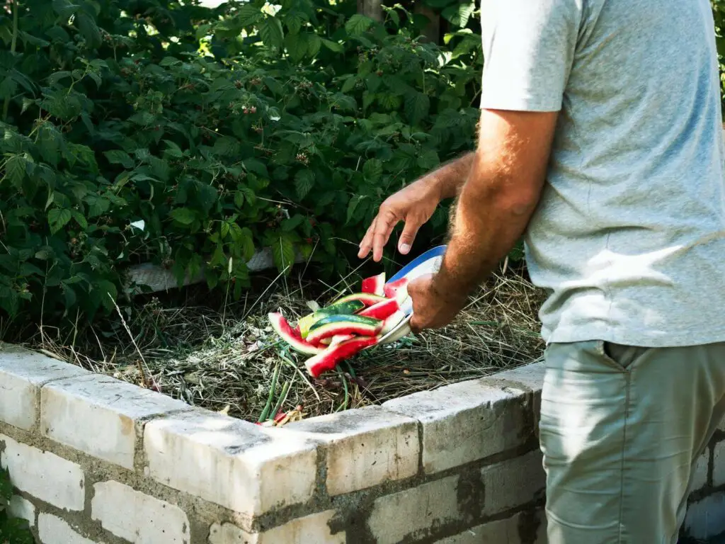 a man adding watermelon to compost pile