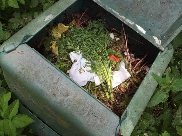 Compost bin