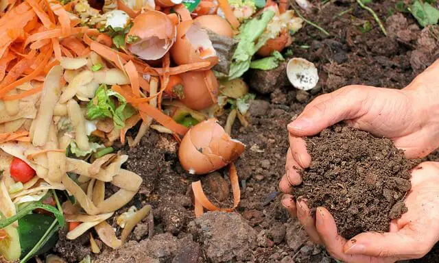 Ecology compost