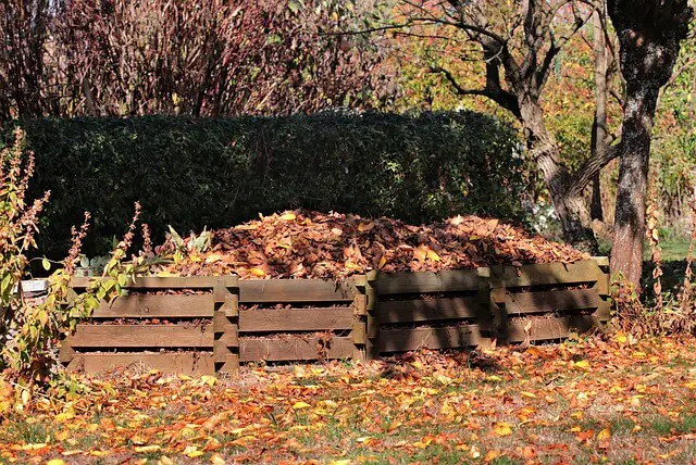 Composting - The Benefits For Beginners