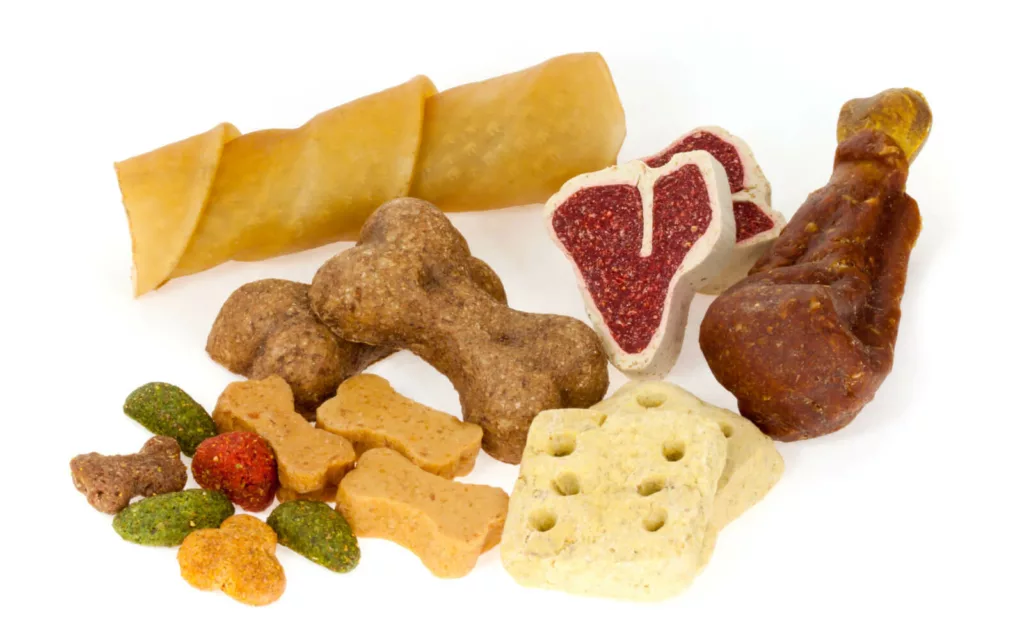 Different types of dog treats