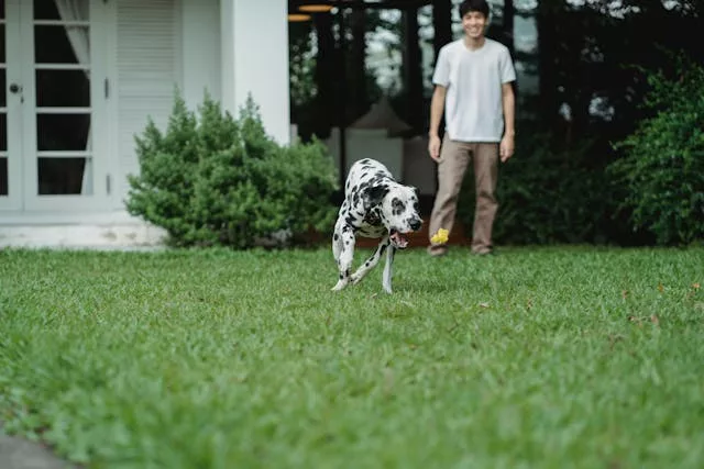 a man playing with his dog in the yard